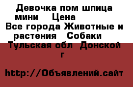 Девочка пом шпица мини  › Цена ­ 30 000 - Все города Животные и растения » Собаки   . Тульская обл.,Донской г.